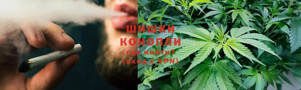 спайс Арсеньев