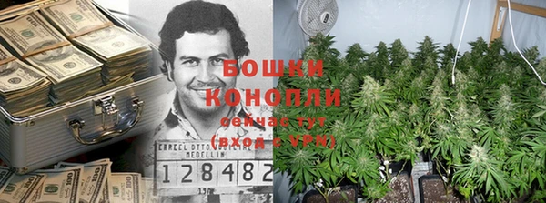 прущие крисы Аркадак