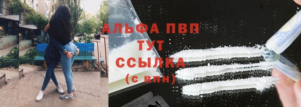 прущие крисы Аркадак