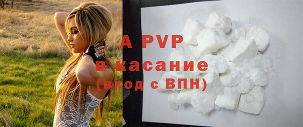 спайс Арсеньев